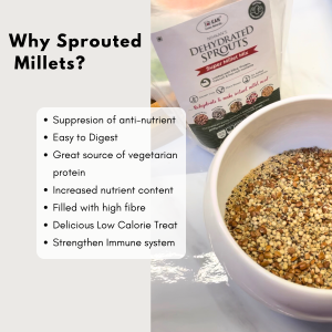 NIHKAN Dehydrated Sprouts – Super Millet Mix